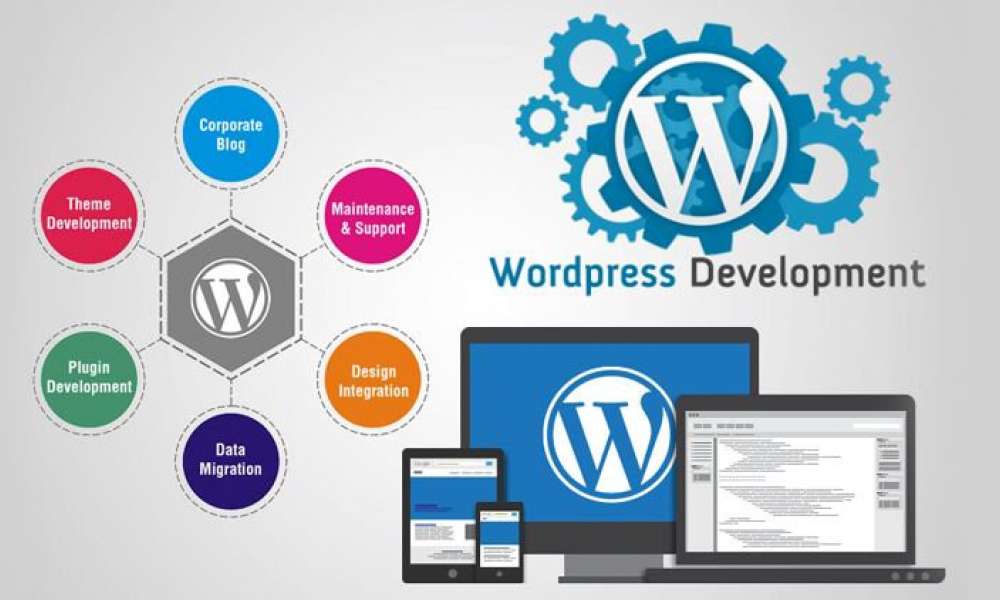 WordPress Eklentileriyle Web Sitenizi Mükemmelleştirin